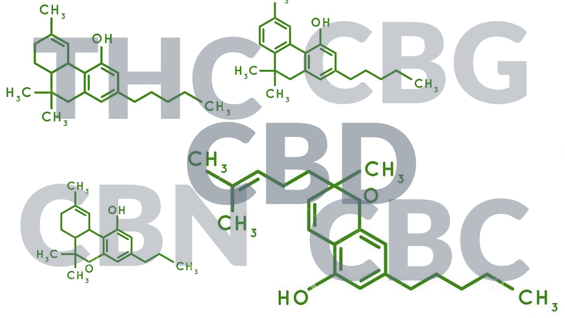 Cannabinoides