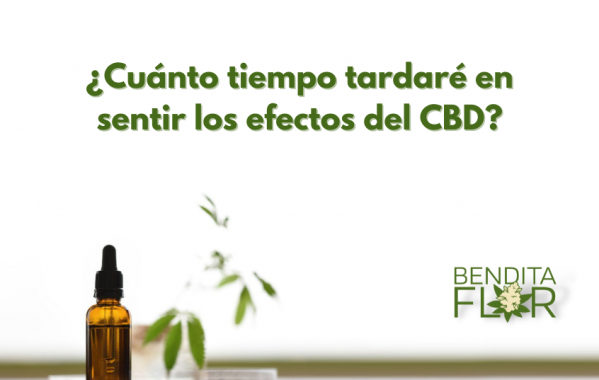 Cuando tarda en hacer efecto el CBD