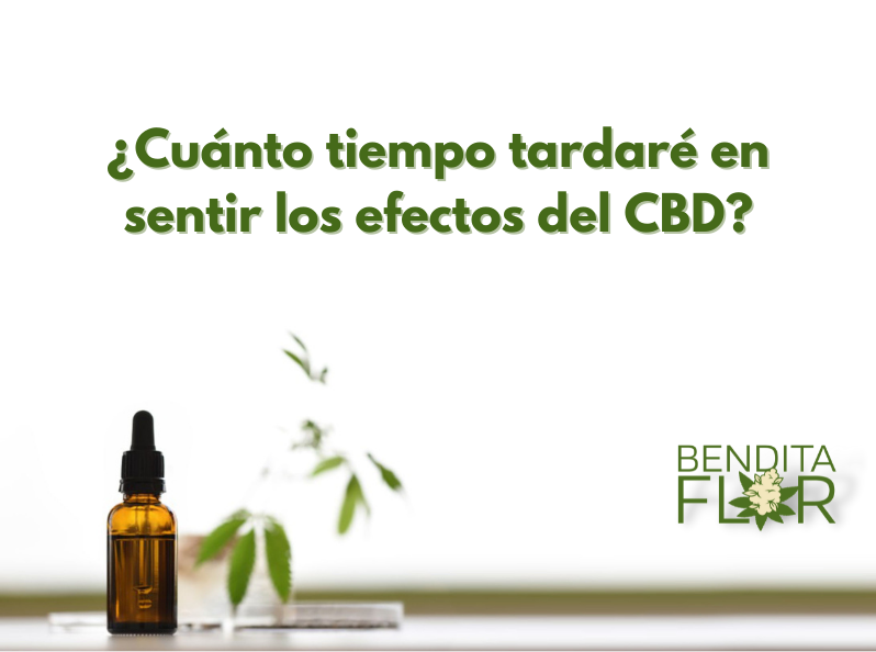 Cuando tarda en hacer efecto el CBD