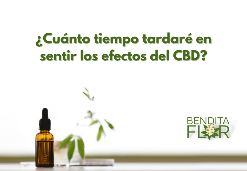 Cuando tarda en hacer efecto el CBD