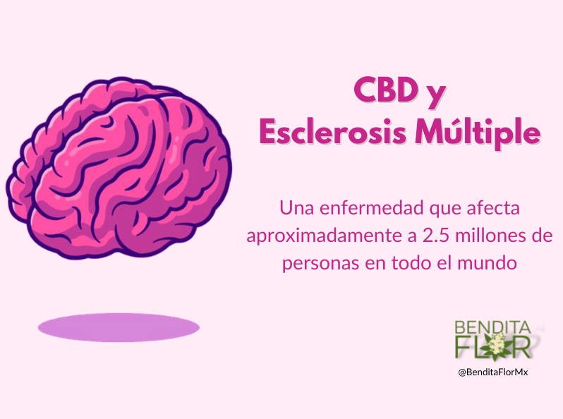 CBD y Esclerosis Múltiple