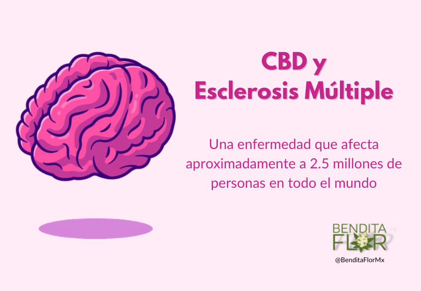 CBD y Esclerosis Múltiple