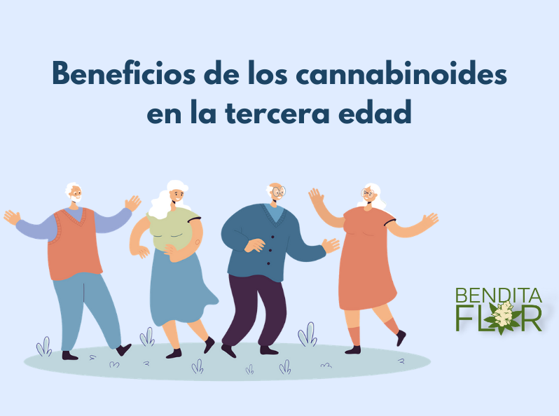 Beneficios de los cannabinoides en la tercera edad