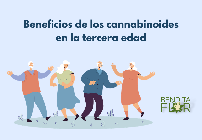Beneficios de los cannabinoides en la tercera edad
