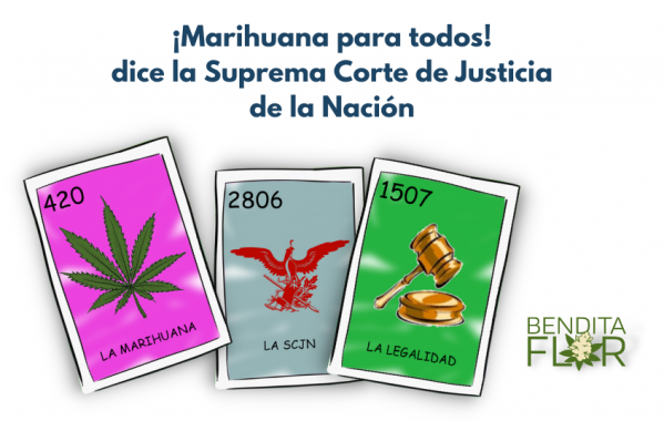 Marihuana para todos
