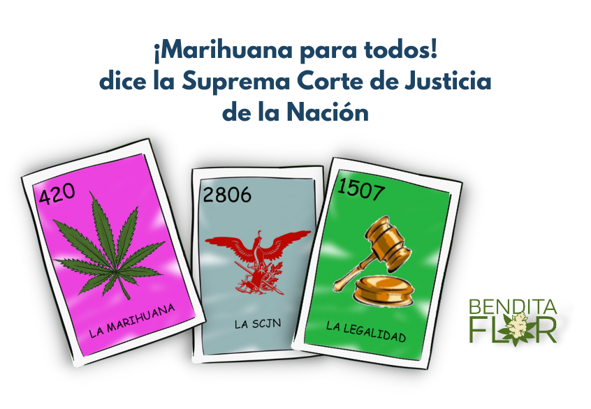 Marihuana para todos